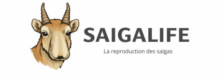 Logo du site : la reproduction des saïgas